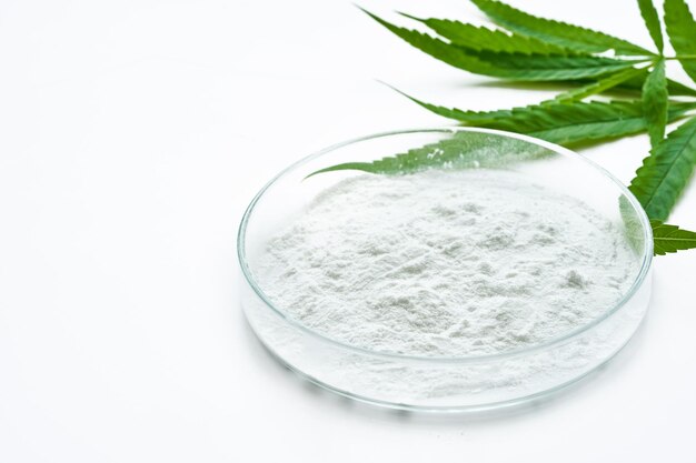 Cannabidiol Or Cbd Powder In Glasses Plate, Petri Dish, And Cannabis Leaves On White Background. Wee