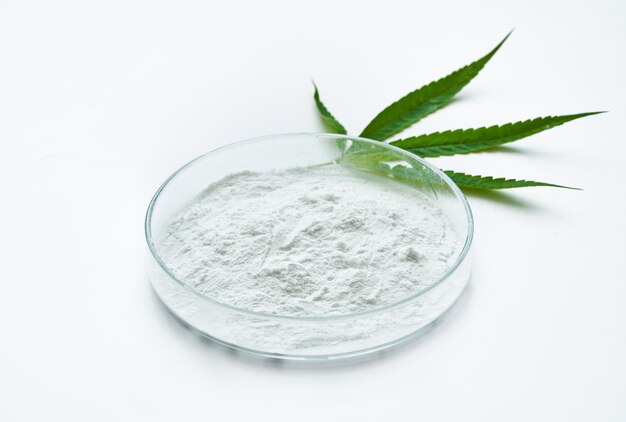 Cannabidiol Or Cbd Powder In Glasses Plate, Petri Dish, And Cannabis Leaves On White Background.
