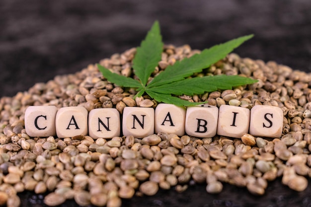 Cannabis on a black background.Close-up. Hemp seeds.