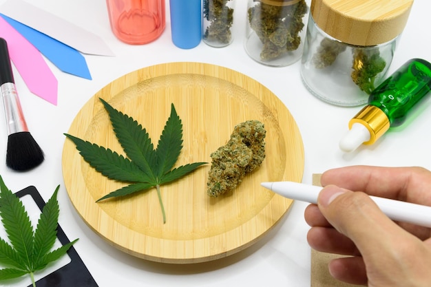 Medicinal Benefits of Cannabis: How Strains, Terpenes, and Weed Delivery Are Transforming Health and Wellness
