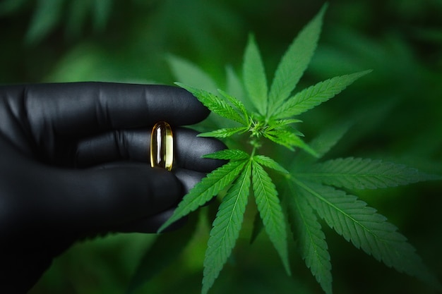 Cannabis CBD-pil in de hand met zwarte handschoen, heldere cannabidiol en groene hennepbladcapsule, hennep CBD-oliecapsule