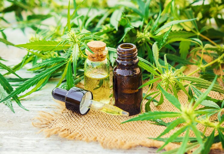 Photo cannabis herb and leaves for treatment broth, tincture, extract, oil. selective focus.
