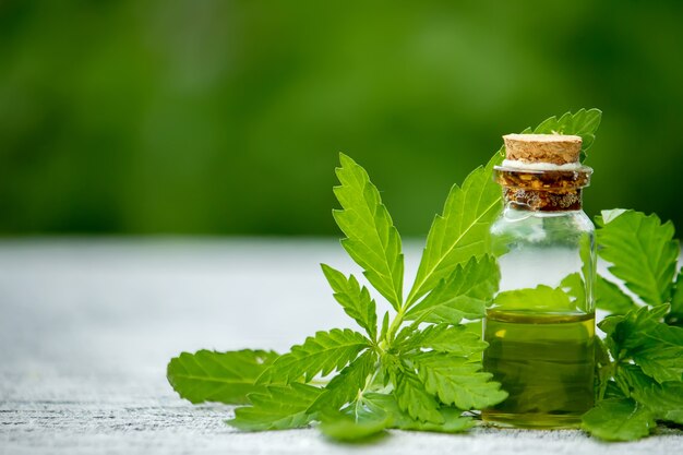 Cannabis herb and leaves for treatment broth