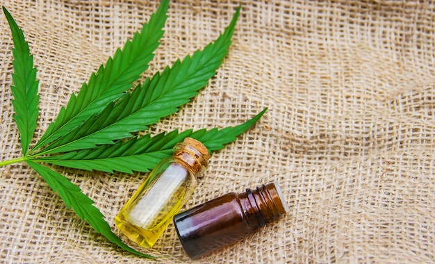 Erba e foglie di cannabis per il trattamento
