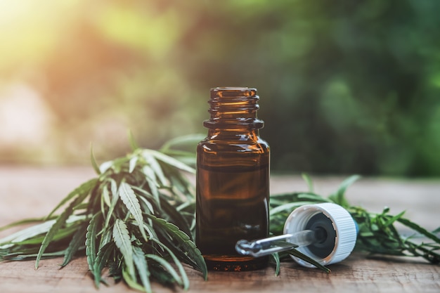 cannabis herb and leaves with oil extracts in jars. medical concept