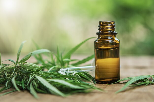 cannabis herb and leaves with oil extracts in jars. medical concept