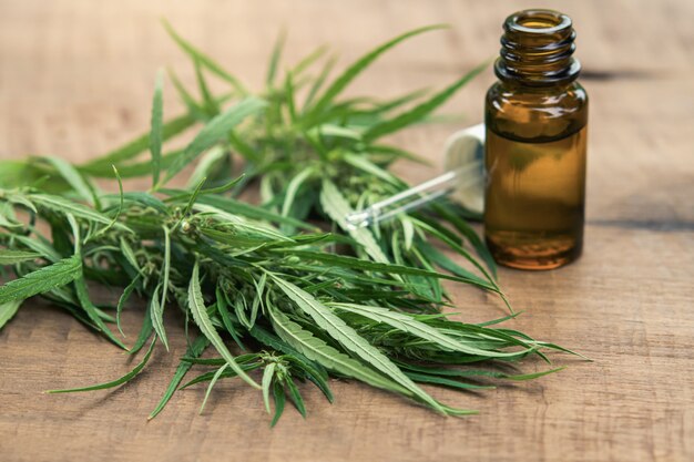 Erba di cannabis e foglie con estratti di olio in barattoli.