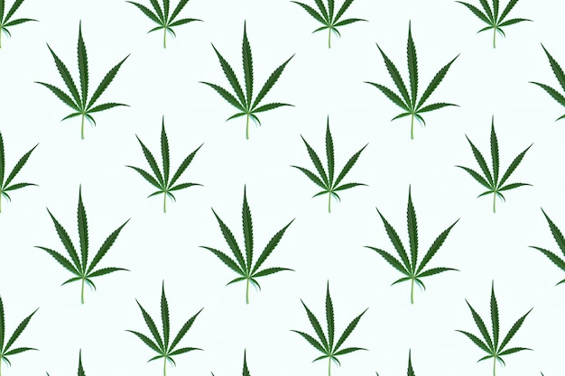 大麻の葉のシームレスなパターン。合法化ヘルスケア