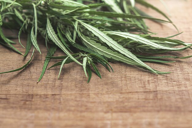 Cannabis leaf on table