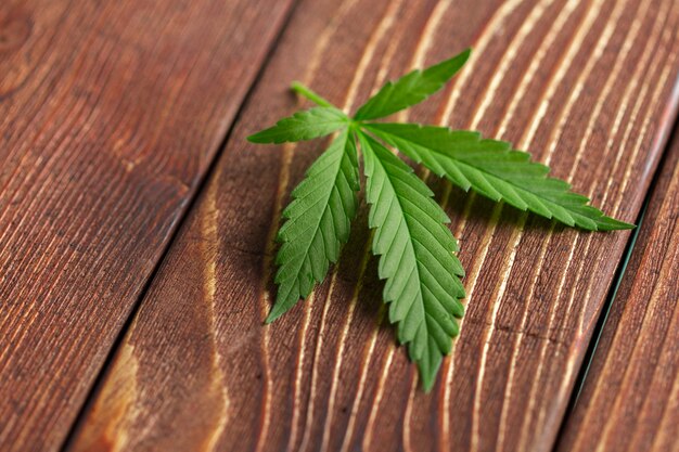 Cannabis leaf on wooden background