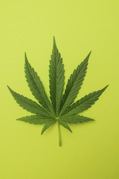 Photo cannabis leaf