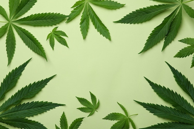 Cannabis leaves on green background, space for text