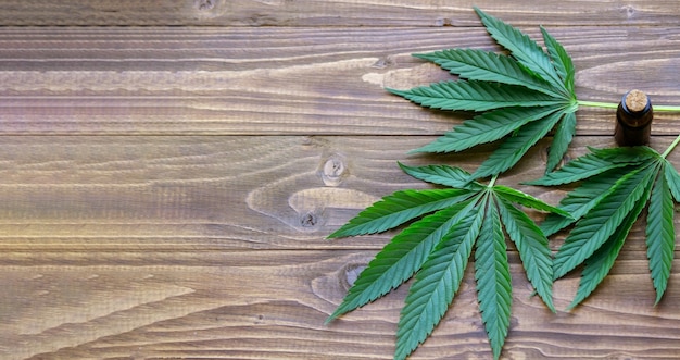 Cannabis leaves on wood background with bottles, cannabis oil. Selective focus