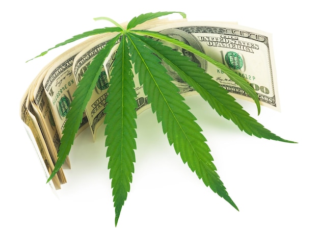 The cannabis and money