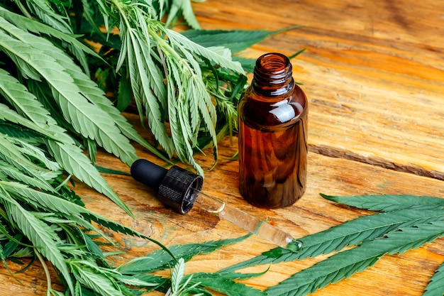 cannabis oil (cannabidiol cbd).