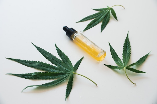 Olio di cannabis nel flacone contagocce con foglie verdi. concetto di medicina alternativa.