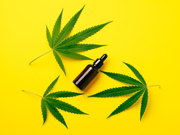 Cannabis oil in the dropper bottle with green leaves on yellow background. Alternative medicine concept.