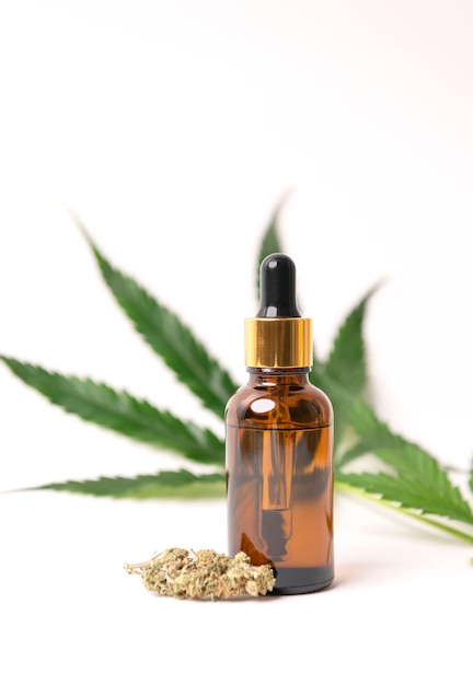 Cannabis oil extracts in jars and green cannabis leaves, marijuana isolated on white background. Growing medical and herb marijuana.