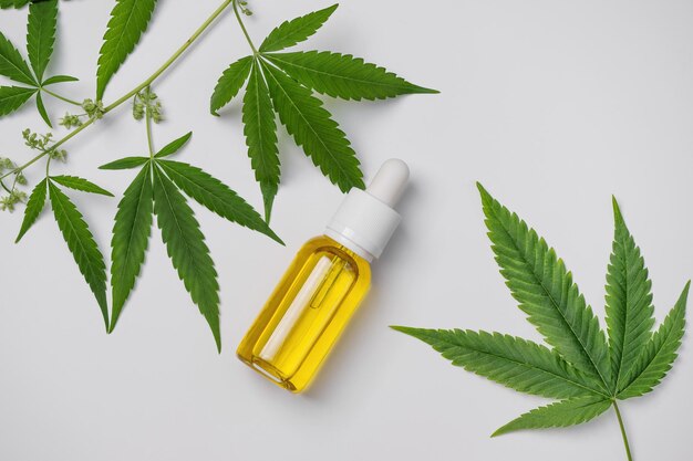 Cannabis oil and hemp leaf on white background flat lay Hemp CBD oil for skin care