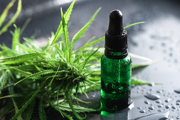 Cannabis plant and bottle with a CBD oil on wet metal surface