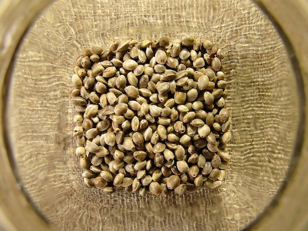 리넨 캔버스 배경에 있는 유리병에 있는 대마초 루데랄리스 씨앗