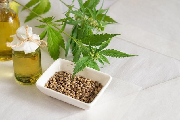 Cannabis seed oil and green plant on white