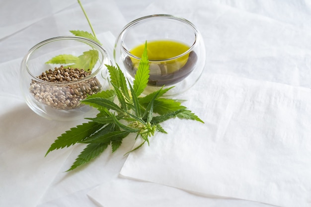 Cannabis seed oil and green plant on white
