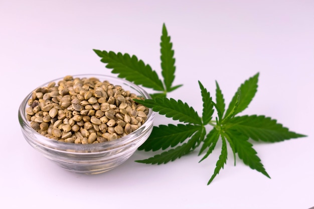 Cannabis seeds in a glass bowl on a white background.