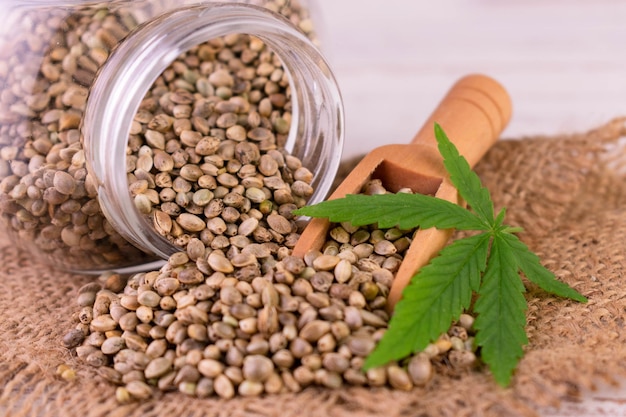 Cannabis seeds were spilling out of the jar. Close-up.