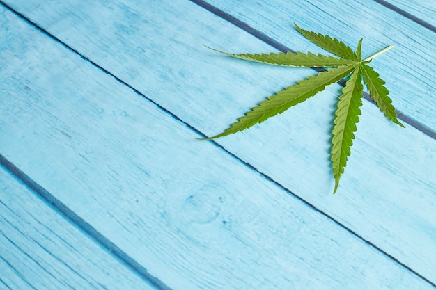 Cannabisblad op helder blauw hout