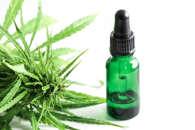 Cannabisplant en fles met een CBD-olie op witte achtergrond