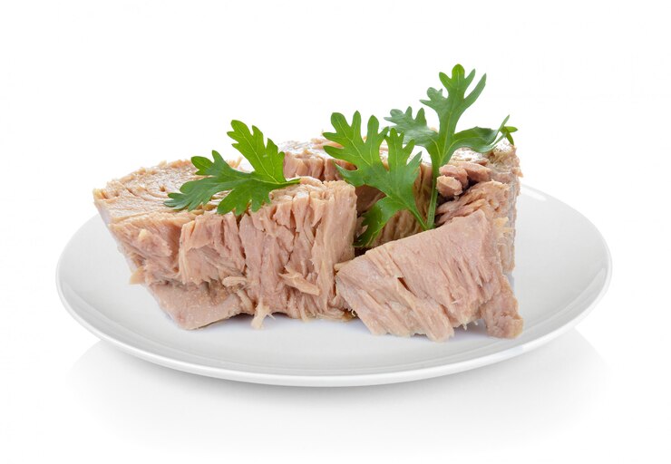 Photo canned tuna fish in plate on white space