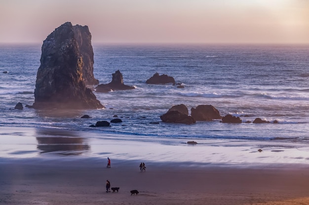 Cannon Beach on the Oregon Coast with sea stacks and rocks in the water after sunset USA
