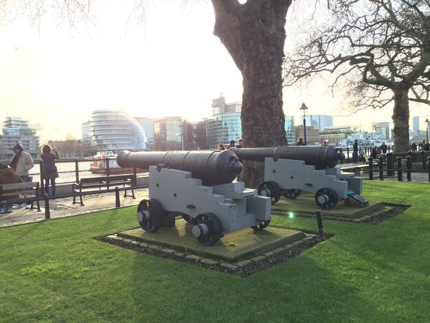 Photo cannons in park