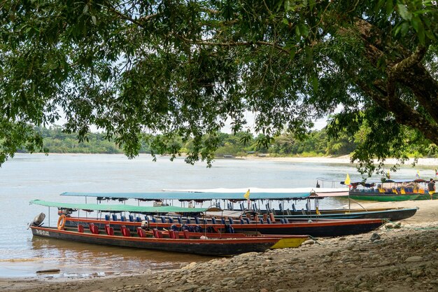 Canoes on the beach of Misahualli Napo province Ecuador