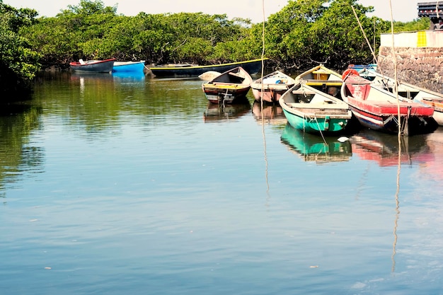 Canoes and colorful boats docked on the paraguacu river