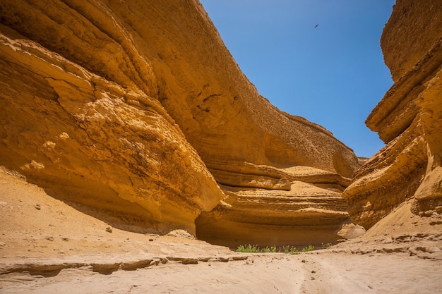 Canon del Zapa, bekend als The Canyon of the Lost, ligt ten zuidwesten van het district Santiago in het gebied genaamd Montegrande in Ica Peru