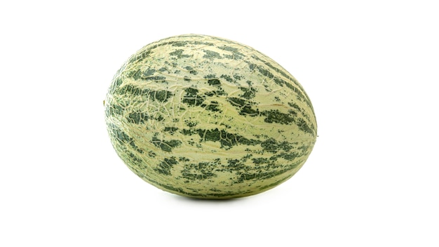 Cantaloupe melon (Cucumis melo) or kekiri or Cavaillon Melon or muskmelon.