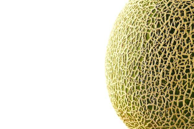 Photo cantaloupe melon