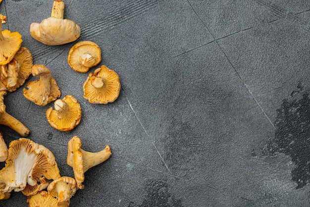 Foto cantharellus cibarius, set di funghi finferli, su sfondo grigio tavolo in pietra, vista dall'alto piatto, con spazio per la copia del testo