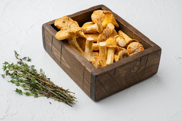 Cantharellus cibarius, comunemente noto come il set di finferli, in una scatola di legno contenitore, su sfondo bianco tavolo in pietra