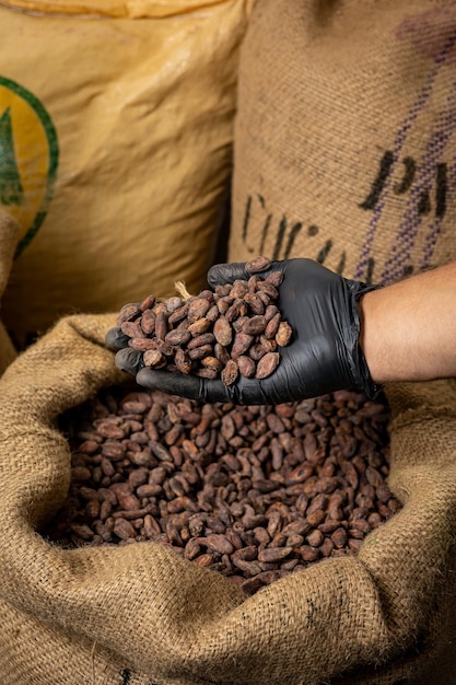 Canvas bag with imported roasted cacao beans