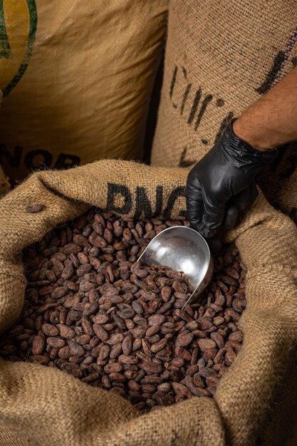 Canvas bag with Imported roasted cacao beans