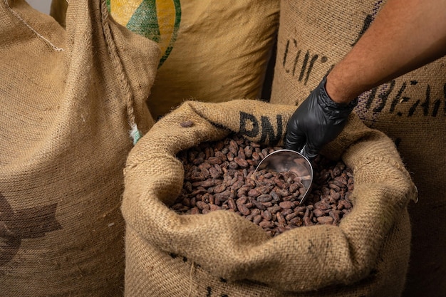 Canvas bag with Imported roasted cacao beans