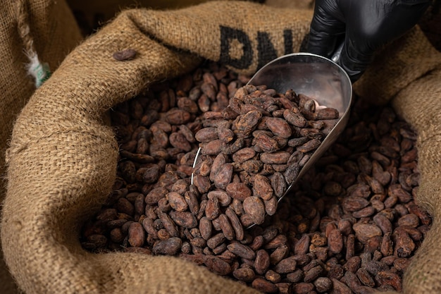 Холщовый мешок с импортными жареными какао-бобами