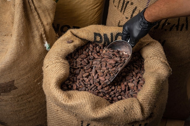 Canvas bag with imported roasted cacao beans