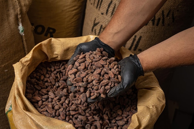 Canvas bag with Imported roasted cacao beans