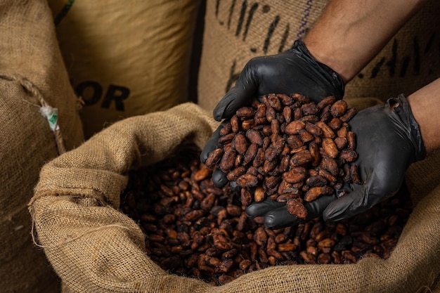 Canvas bag with Imported roasted cacao beans