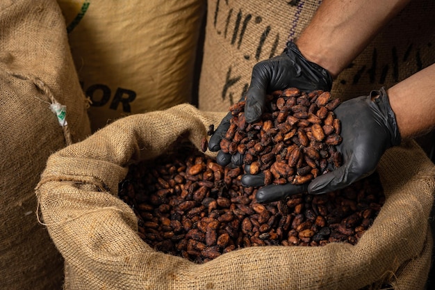 Canvas bag with Imported roasted cacao beans