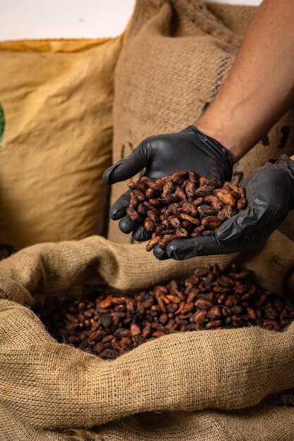 Canvas bag with Imported roasted cacao beans